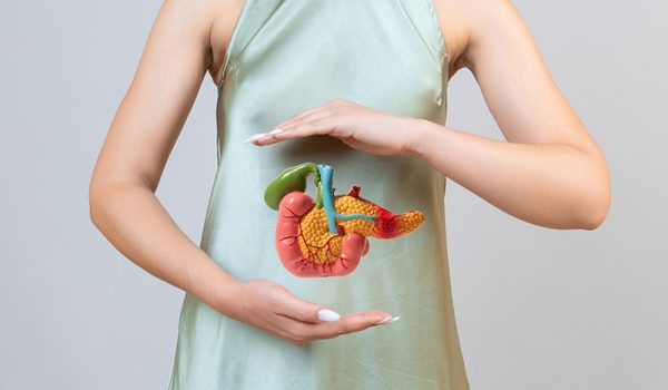 woman holding pancreas in the hands. Help and care concept